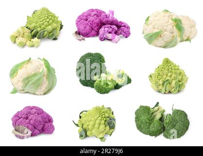 Set mit verschiedenen Blumenkohlen auf weißem Hintergrund Stockfoto