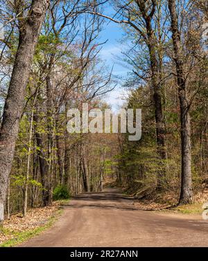 Eine unbefestigte Straße durch die Wälder in Warren, Pennsylvania, USA, an einem sonnigen Frühlingstag Stockfoto
