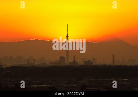 Tokyoskytree Tower und die Schatten des Mt. Fuji aus Kamagayashi gesehen Stockfoto