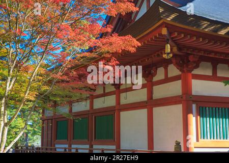 Haupthalle des Motsuji-Tempels und Herbstblätter Stockfoto