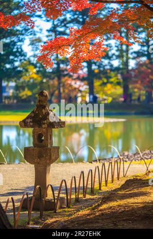 Herbstblätter des Motsuji-Tempels Stockfoto