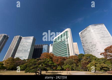 Der Wolkenkratzer in Shiodome, von der Hama Kaiservilla aus gesehen Stockfoto