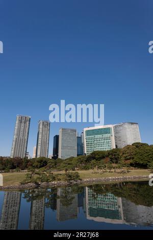 Der Wolkenkratzer in Shiodome, von der Hama Kaiservilla aus gesehen Stockfoto