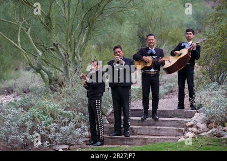 Vier Männer in der Mariachi-Band spielen Musikinstrumente (Violine, Trompete, Vihuela, guitarrón) in Outdoor-Aufführungen, Sonoran Desert, Tucson, Arizona. Stockfoto
