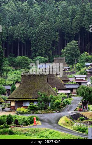 Dorf mit strohgedeckten Bauernhäusern in Miyama in frischem Grün Stockfoto