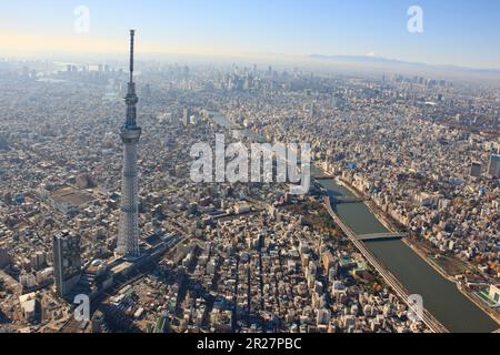 Skytree, Sumida und Mt. Fuji Stockfoto