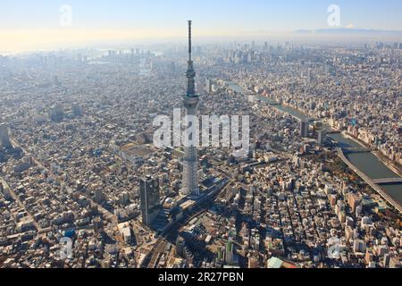 Skytree, Sumida und Mt. Fuji Stockfoto