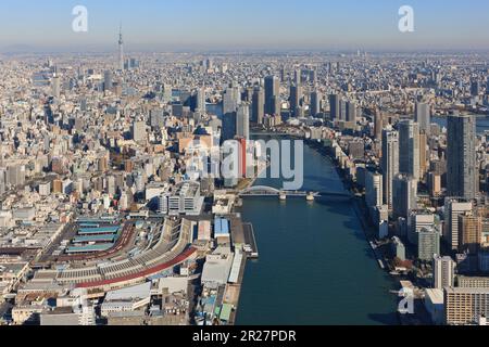 Skytree und Tsukiji Fischmarkt Stockfoto