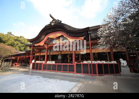 Dazaifu tenmangu-Schrein Stockfoto