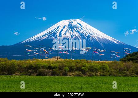 Karpfenbanner und Berg Fuji Stockfoto