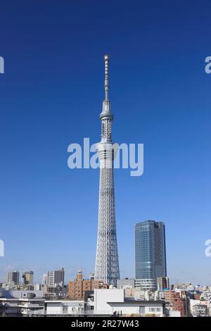 Blauer Himmel und Tokio-Himmelsbaum von Kameido Stockfoto