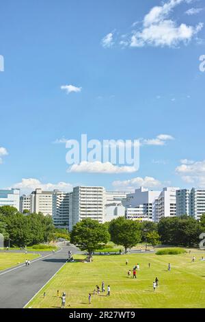 Tachikawa Stadtgebäude und Showa Memorial Park Stockfoto