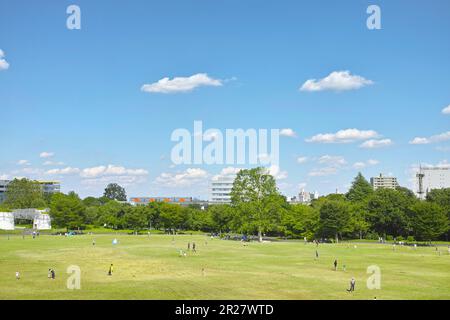 Der Himmel und Showa Kinen Park Stockfoto