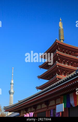 Sensoji-Tempel, fünfstöckige Pagode und Himmelsbaum Stockfoto