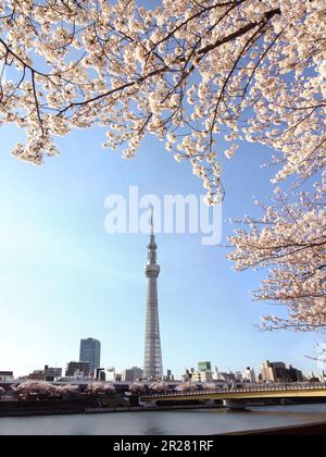 Tokyo Sky Tree Stockfoto