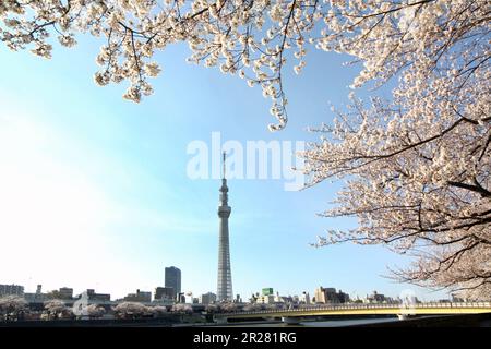 Tokyo Sky Tree Stockfoto