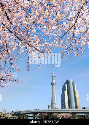 Tokyo Sky Tree Stockfoto