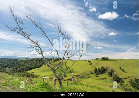 Eine wunderschöne fruchtbare Landschaft von einem Aussichtspunkt am Straßenrand mit moosbedeckten Bäumen und einem Bauernmaskottchen im Vordergrund in Malanda, Queensland in Australien. Stockfoto