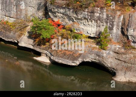 Herbstfarben von Tounohetsuri Stockfoto