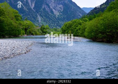 Kamikochis frisches Grün und der Fluss Azusa Stockfoto