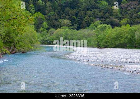 Kamikochis frisches Grün und der Fluss Azusa Stockfoto