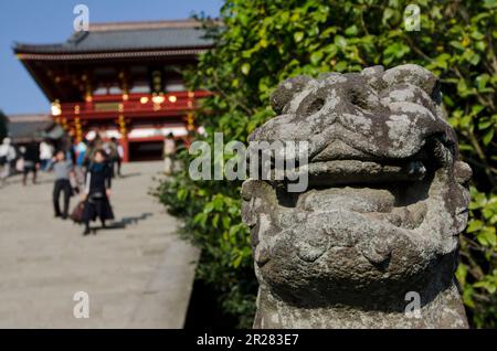 Schrein Kamakura Tsuruoka Hachiman und Statue des Komainu Stockfoto