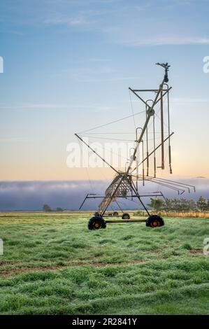 Die aufgehende Sonne verbrennt langsam den Nebel auf einer Bauernhöfe mit verbesserter Weide und offenbart einen Bewässerungsboom in den Atherton Tablelands in Australien. Stockfoto