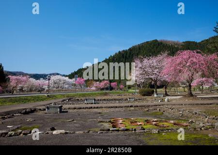 Ichijodani, die Ruinen des Asakura-Clans Stockfoto