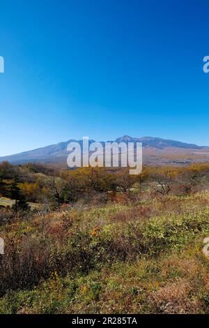 Mt. Vollständige Ansicht von Yatsugatake Stockfoto