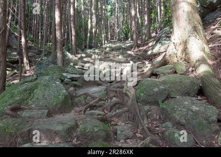 Matsumoto-Pass von Kumano Kodo Stockfoto