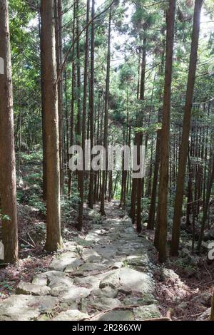 Matsumoto-Pass von Kumano Kodo Stockfoto