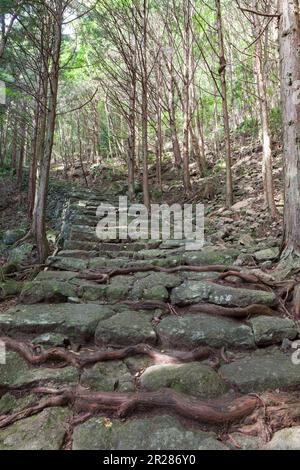 Matsumoto-Pass von Kumano Kodo Stockfoto