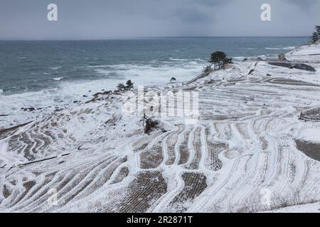 Das Japanische Meer und die Reisterrassen Shiroyone Senmaida im Winter Stockfoto