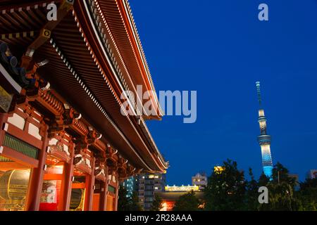 Beleuchteter Tokyo Sky Tree vom Sensoji-Tempel aus gesehen (trendy) Stockfoto