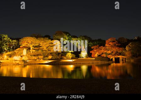 Rikugien-Laub leuchtet auf Stockfoto