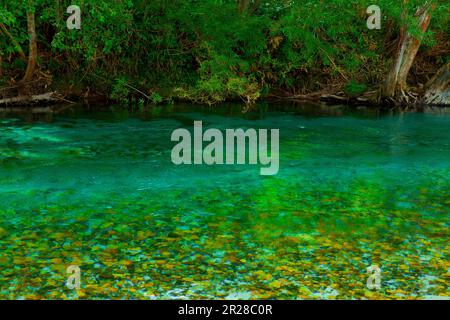 Klarer Fluss Kamikochi-Azusa Stockfoto
