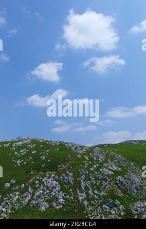 Akiyoshi-Plateau im Frühling Stockfoto