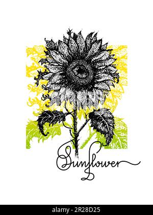 Sonnenblume Gelb Grün Schriftzug Mit Dotwork Stock Vektor