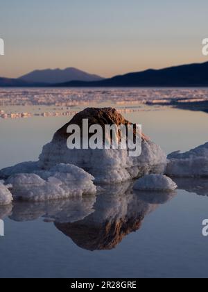 Erleben Sie den faszinierenden Anblick eines mit Salz bedeckten Felsens während der bezaubernden violetten Sonnenuntergänge auf dem Salar de Uyuni in Bolivien. Stockfoto