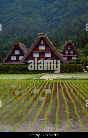 Shirakawago im Frühling Ein Rahmenhaus Stockfoto