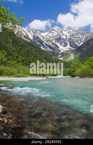 Frisches Grün des Kamikochi-Azusa-Flusses und der Hodaka-Gebirgskette Stockfoto