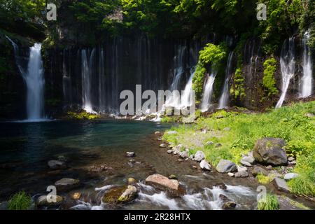 Shiraito Falls in frischem Grün Stockfoto