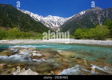 Frisches Grün des Kamikochi-Azusa-Flusses und der Hodaka-Gebirgskette Stockfoto