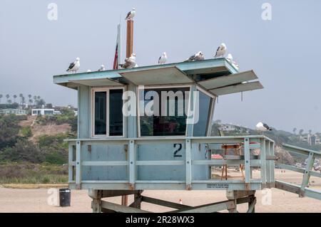 Möwen und Rettungsschwimmer am Strand Stockfoto