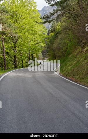 Straße in Richtung Berge Stockfoto