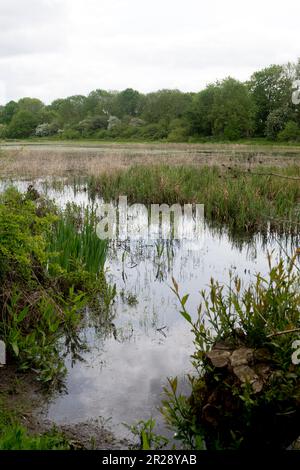 Welches Meadow, Leamington Spa, Warwickshire, England, Großbritannien Stockfoto