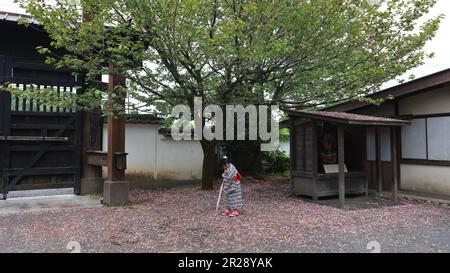 Kinugawa Onsen, Japan Mai 1 2023: Edo Wonderland Nikko Edomura ist einer der berühmten Freizeitparks in Kinugawa Onsen, Japan. Es ist ein historischer Freizeitpark Recrea Stockfoto