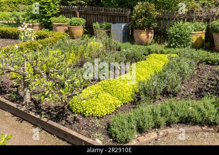 Ein gut gestalteter Kräutergarten an einem hellen Sommertag Stockfoto