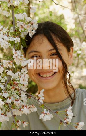 Ein Mädchen unter einem blühenden Kirschbaum. Stockfoto