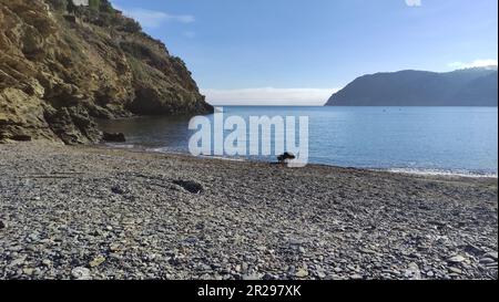 Cala Joncols Stockfoto